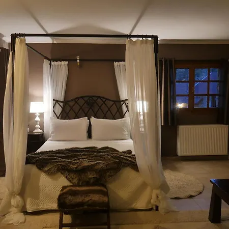 ゲストハウス Dryades Synikia Mesi Trikalon