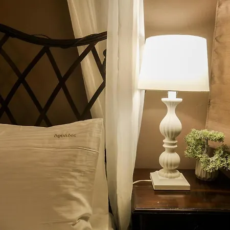 ゲストハウス Dryades