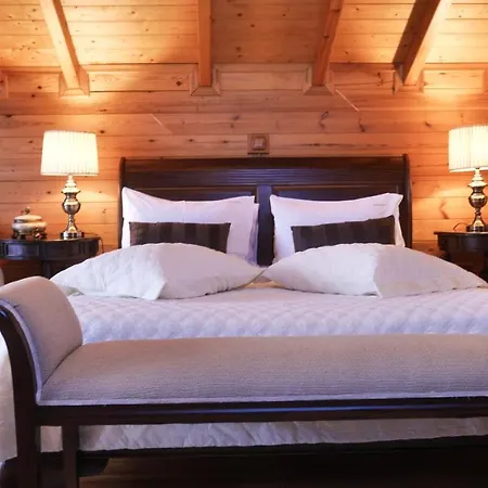 Konukevi Dryades Synikia Mesi Trikalon