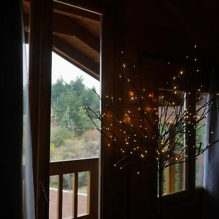 Dryades Guest house *