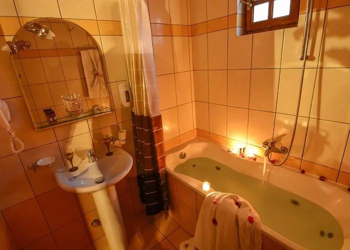 δρυάδες ορεινή φιλοξενία 4*