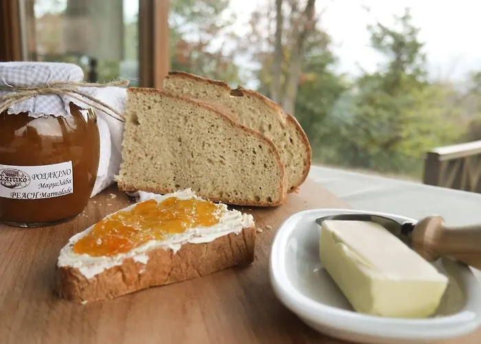 δρυάδες ορεινή φιλοξενία 4*