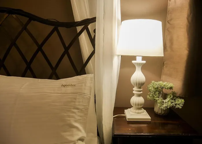 Πανσιόν δρυάδες ορεινή φιλοξενία