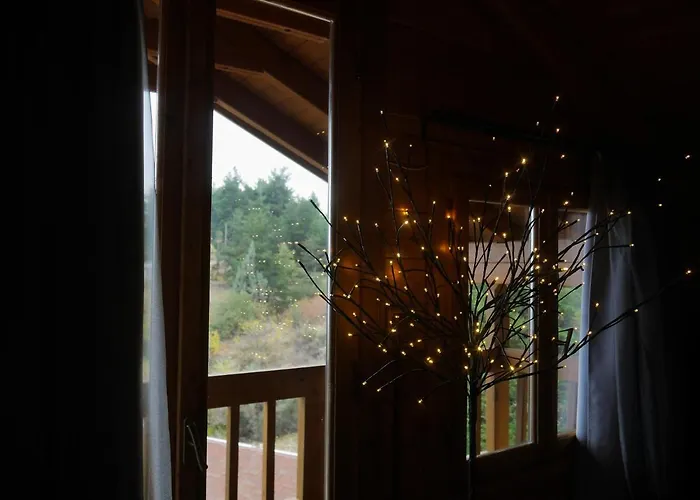 δρυάδες ορεινή φιλοξενία Πανσιόν 4*